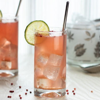 Hibiscus Ginger Lime Highball