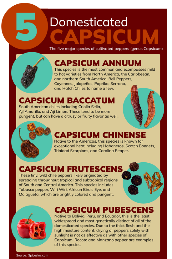 Domesticated Capsicums