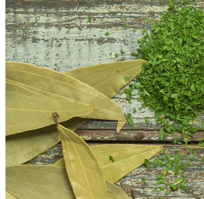 Ratio Chart Converting Fresh Herbs to Dry Herbs to Ground Herbs