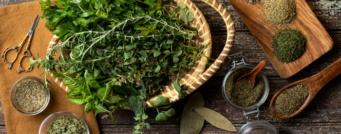 Fresh and Dried Herbs