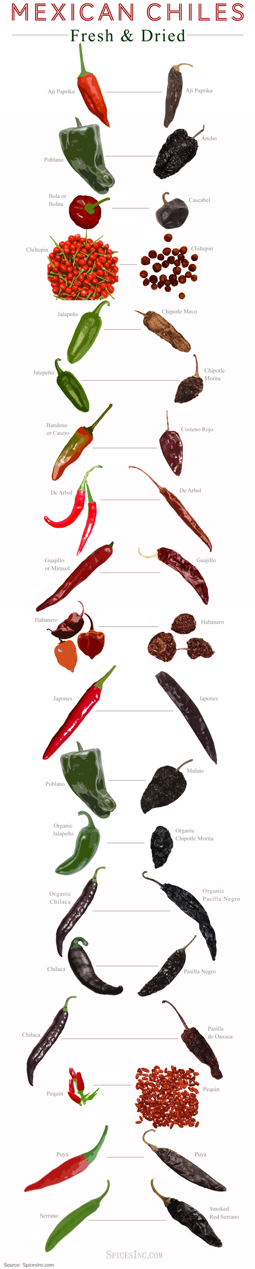 A Visual Guide To Different Types Of Chiles
