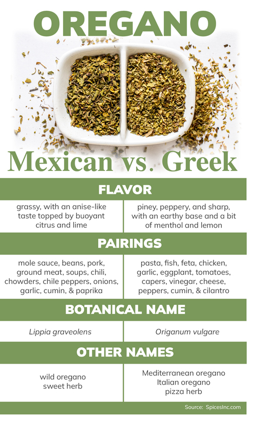Mexican vs Greek Oregano Infographic