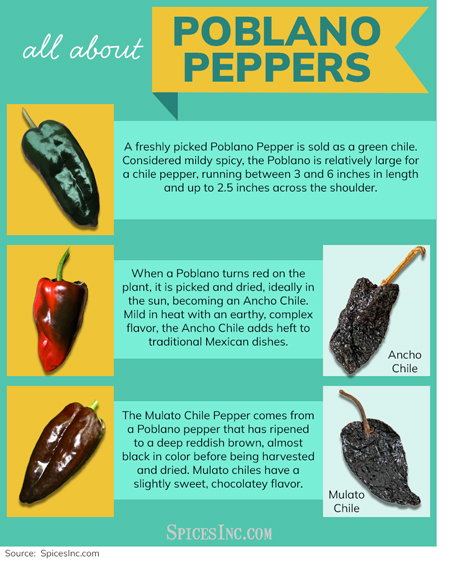What Are Poblano Chile Peppers?