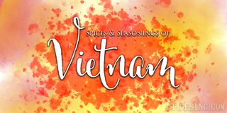 Spices and Seasonings of Vietnam