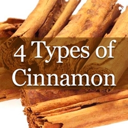 What is Cinnamon? What creates the characteristic flavor of