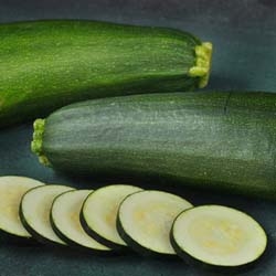 All About Zucchini