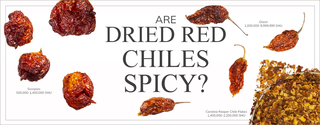 Are Dried Red Chiles Spicy?