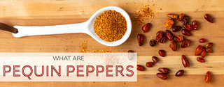 What Are Pequin Chiles?