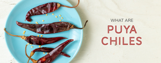 What Are Puya Chiles?