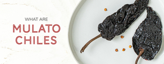 What Are Mulato Chiles?