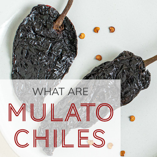 What Are Mulato Chiles?
