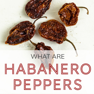 What Are Habanero Peppers