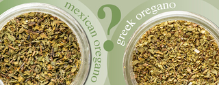 The Oregano Throwdown: Mediterranean vs Mexican