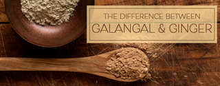 Galangal vs Ginger