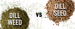 Dill Weed VS Dill Seed
