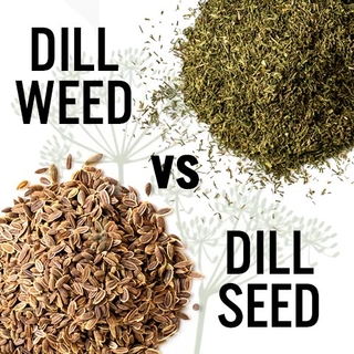 Dill Weed VS Dill Seed