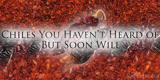 Chiles You Haven't Heard of But Soon Will