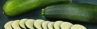 All About Zucchini