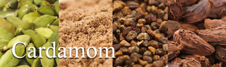 Spice Cabinet 101: Cardamom