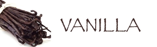 Spice Cabinet 101: Vanilla