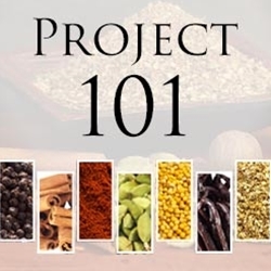 Project 101