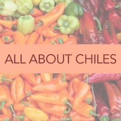All About Chiles