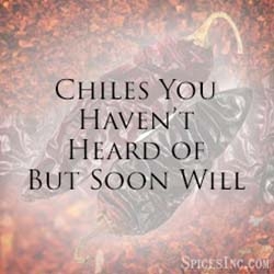 Chiles You Haven't Heard of But Soon Will