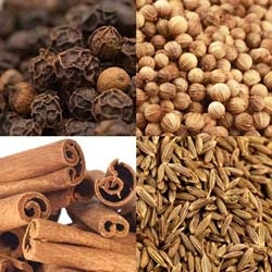 Volatile Oils of Spices