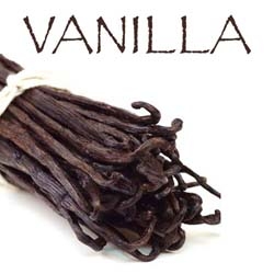 Spice Cabinet 101: Vanilla