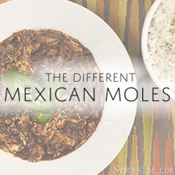 The Different Mexican Moles