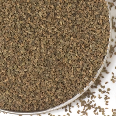 Celery Salt Seasoning 1 lb.