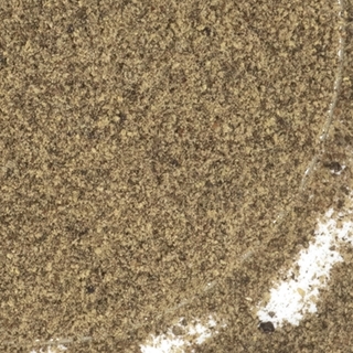 Black Pepper Fine Grind