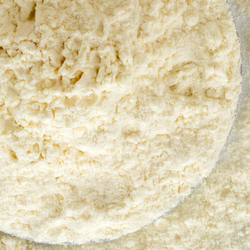 Romano Cheese Powder