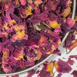 Pink Rose Petals