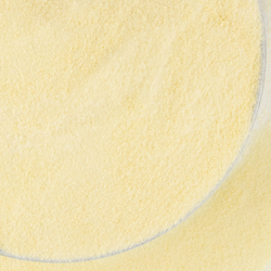 Mango Juice Powder